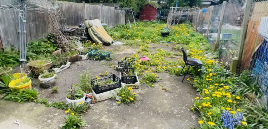 Studio with Backyard Garden